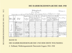 Die Habsburgermonarchie und der Erste Weltkrieg