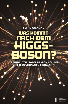 Was kommt nach dem Higgs-Boson?