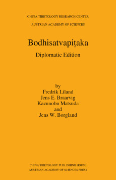 Bodhisatvapiṭaka