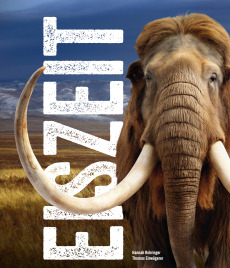 Eiszeit ‒ Ice Age