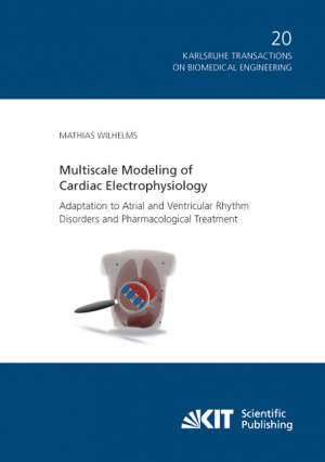 Multiscale Modeling of Cardiac Electrophysiology: Adaptation to Atrial and Ventricular Rhythm Disorders and Pharmacological Treatment