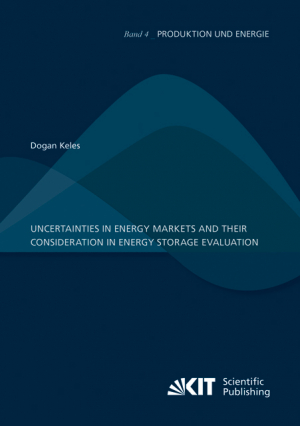Uncertainties in energy markets and their consideration in energy storage evaluation