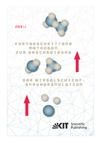 Fortgeschrittene Methoden zur Beschreibung der Wirbelschicht-Sprühgranulation