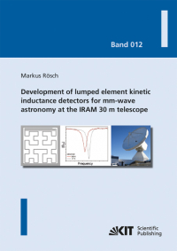 Development of lumped element kinetic inductance detectors for mm-wave astronomy at the IRAM 30 m telescope