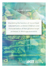 Elucidating the function of mycorrhizal-induced Kunitz protease inhibitors and characterization of their putative target proteases in Medicago truncatula