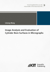 Image Analysis and Evaluation of Cylinder Bore Surfaces in Micrographs