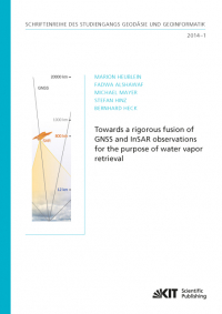 Towards a rigorous fusion of GNSS and InSAR observations for the purpose of water vapor retrieval