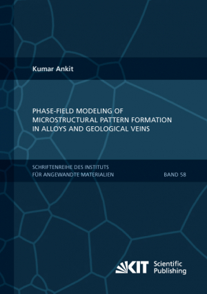 Phase-field modeling of microstructural pattern formation in alloys and geological veins