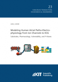 Modeling Human Atrial Patho-Electrophysiology from Ion Channels to ECG - Substrates, Pharmacology, Vulnerability, and P-Waves