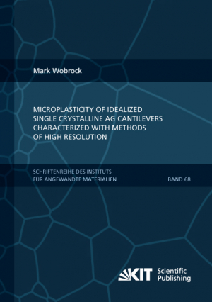 Microplasticity of idealized single crystalline Ag cantilevers characterized with methods of high resolution