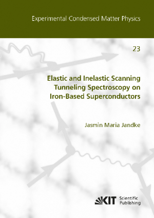 Elastic and Inelastic Scanning Tunneling Spectroscopy on Iron-Based Superconductors