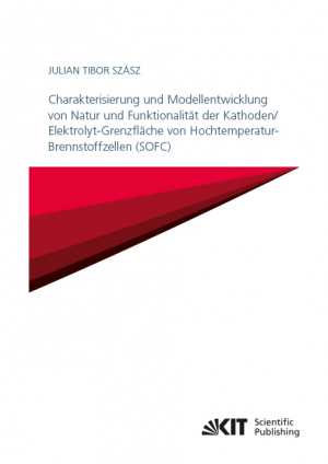 Charakterisierung und Modellentwicklung von Natur und Funktionalität der Kathoden/Elektrolyt-Grenzfläche von Hochtemperatur-Brennstoffzellen (SOFC)