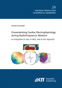 Characterizing Cardiac Electrophysiology during Radiofrequency Ablation : An Integrative Ex vivo, In silico, and In vivo Approach