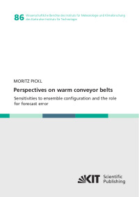 Perspectives on warm conveyor belts - sensitivities to ensemble configuration and the role for forecast error
