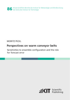 Perspectives on warm conveyor belts – sensitivities to ensemble configuration and the role for forecast error