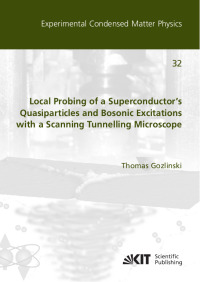Local Probing of a Superconductor’s Quasiparticles and Bosonic Excitations with a Scanning Tunnelling Microscope