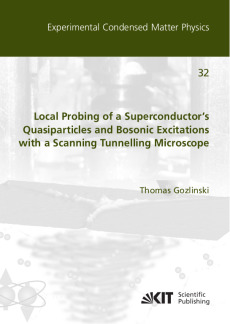 Local Probing of a Superconductor’s Quasiparticles and Bosonic Excitations with a Scanning Tunnelling Microscope
