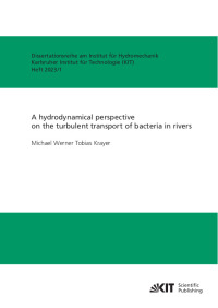 A hydrodynamical perspective on the turbulent transport of bacteria in rivers