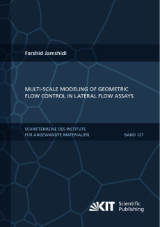 Multi-scale modeling of geometric flow control in lateral flow assays