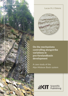 On the mechanisms controlling along-strike variations in pro-foreland basin development: a case study of the Alps-Molasse Basin system
