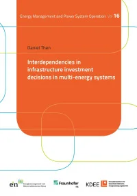 Interdependencies in infrastructure investment decisions in multi-energy systems