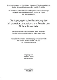 Die topographische Beziehung des M. pronator quadratus zum Ansatz des M. brachioradialis Implikationen für die Refixation nach palmarer Plattenosteosynthese distaler Radiusfrakturen