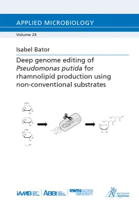 Deep genome editing of Pseudomonas putida for rhamnolipid production using non-conventional substrates