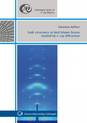 Stalk structures in lipid bilayer fusion studied by x-ray diffraction