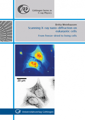 Scanning X-ray nano-diffraction on eukaryotic cells