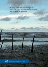 Dealing with climate change on small islands: Towards effective and sustainable adaptation
