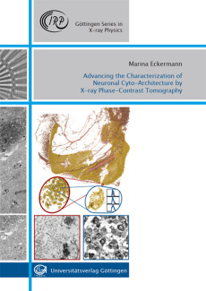 Advancing the Characterization of Neuronal Cyto-Architecture by X-ray Phase-Contrast Tomography