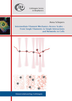 Intermediate Filament Mechanics Across Scales – From Single Filaments to Single Interactions and Networks in Cells