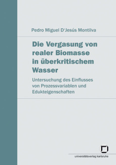 Die Vergasung von realer Biomasse in überkritischem Wasser