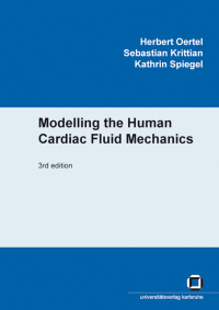 Modelling the human cardiac fluid mechanics