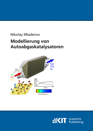 Modellierung von Autoabgaskatalysatoren