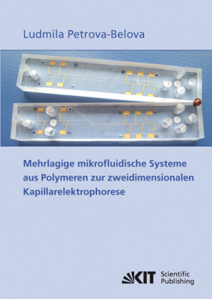 Mehrlagige mikrofluidische Systeme aus Polymeren zur zweidimensionalen Kapillarelektrophorese