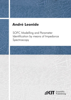 SOFC modelling and parameter identification by means of impedance spectroscopy