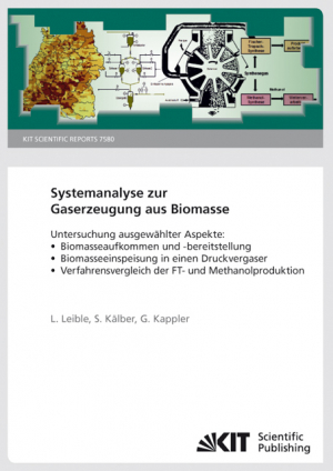 Systemanalyse zur Gaserzeugung aus Biomasse : Untersuchung ausgewählter Aspekte: Biomasseaufkommen und -bereitstellung, Biomasseeinspeisung in einen Druckvergaser, Verfahrensvergleich der FT- und Methanolproduktion