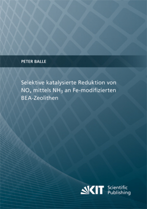 Selektive katalysierte Reduktion von NOx mittels NH3 an Fe-modifizierten BEA-Zeolithen