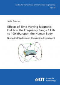 Effects of Time-Varying Magnetic Fields in the Frequency Range 1 kHz to 100 kHz upon the Human Body : Numerical Studies and Stimulation Experiment