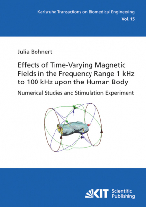 Effects of Time-Varying Magnetic Fields in the Frequency Range 1 kHz to 100 kHz upon the Human Body : Numerical Studies and Stimulation Experiment