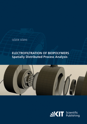 Electrofiltration of Biopolymers : Spatially Distributed Process Analysis