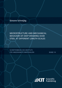 Microstructure and Mechanical Behavior of Deep Drawing DC04 Steel at Different Length Scales