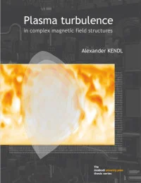 Plasma turbulence in complex magnetic field structures