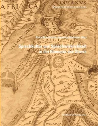 Sprachkultur und Sprachwirklichkeit in der Romania und Slavia