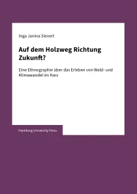 Auf dem Holzweg Richtung Zukunft?