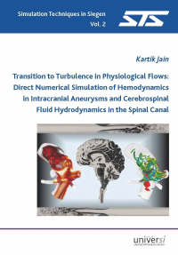 Transition to Turbulence in Physiological Flows: Direct Numerical Simulation of Hemodynamics in Intracranial Aneurysms and Cerebrospinal Fluid Hydrodynamics in the Spinal Canal