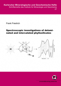 Spectroscopic investigations of delaminated and intercalated phyllosilicates