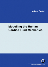 Modelling the Human Cardiac Fluid Mechanics