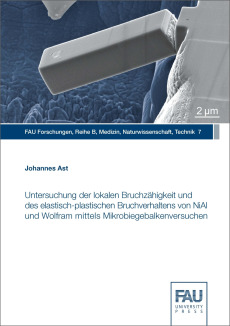 Untersuchung der lokalen Bruchzähigkeit und des elastisch‐plastischen Bruchverhaltens von NiAl und Wolfram mittels Mikrobiegebalkenversuchen